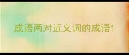成语两对近义词的成语