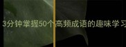 成语猜字游戏3分钟掌握50个高频成语的趣味学习法附答案
