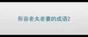 形容老夫老妻的成语