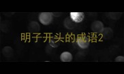 明子开头的成语
