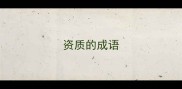 资质的成语