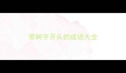 带树字开头的成语大全