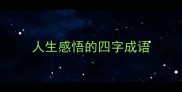 人生感悟的四字成语