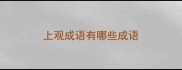 上观成语有哪些成语