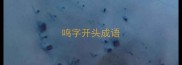 鸣字开头成语
