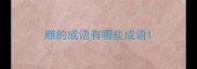 雕的成语有哪些成语