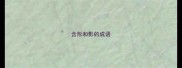 含形和影的成语
