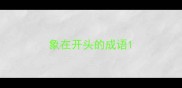 象在开头的成语