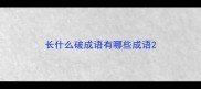 长什么破成语有哪些成语