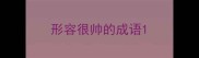 形容很帅的成语