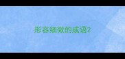 形容细微的成语
