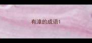 有漳的成语