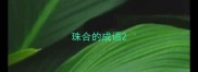 珠合的成语