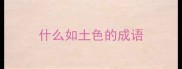 什么如土色的成语