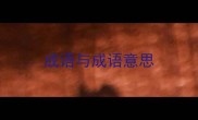 成语与成语意思