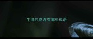 牛组的成语有哪些成语