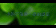 小的不值得一提的成语