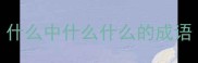 什么中什么什么的成语