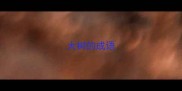 大树的成语