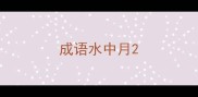成语水中月