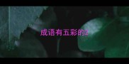 成语有五彩的