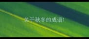 关于秋冬的成语