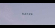 败两的成语