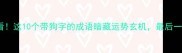 属狗人必看这10个带狗字的成语暗藏运势玄机最后一个太准了