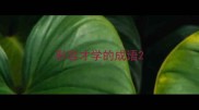 形容才学的成语
