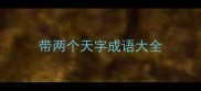 带两个天字成语大全