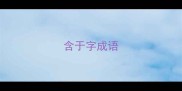 含于字成语