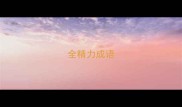 全精力成语