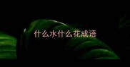 什么水什么花成语