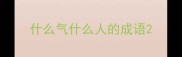什么气什么人的成语