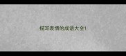 描写表情的成语大全