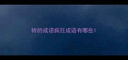 转的成语疯狂成语有哪些