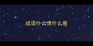 成语什么情什么意