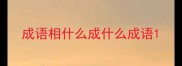 成语相什么成什么成语