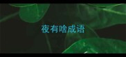 夜有啥成语