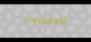 句子成语改错