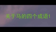 关于马的四个成语