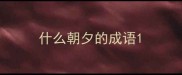什么朝夕的成语