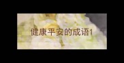 健康平安的成语