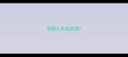 领悟人生的成语
