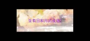 含有日和月的成语