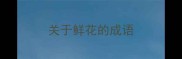 关于鲜花的成语