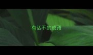 有话不的成语