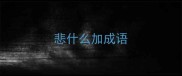 悲什么加成语
