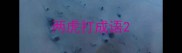 两虎打成语