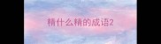 精什么精的成语